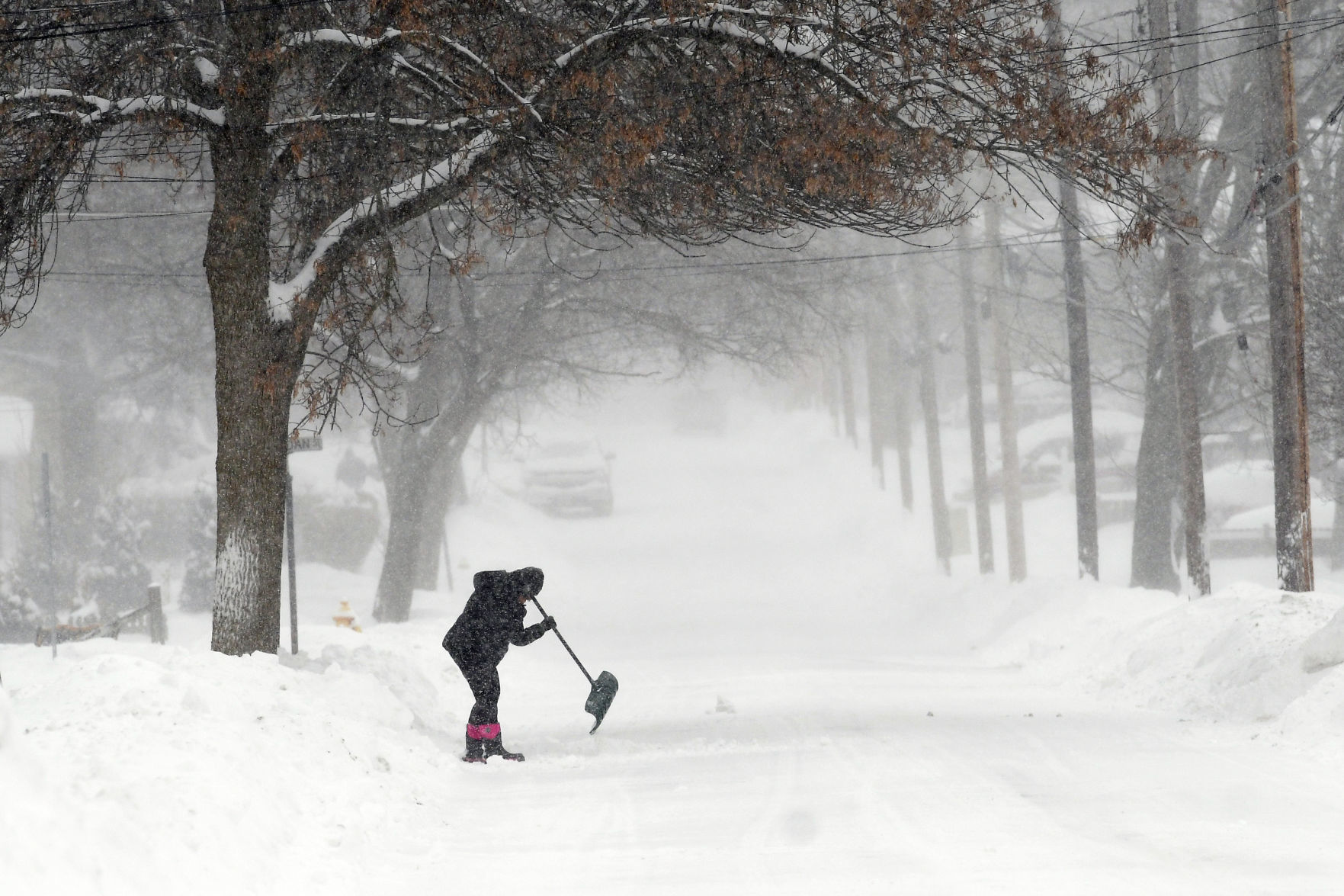 Winter Storm 2.JPG